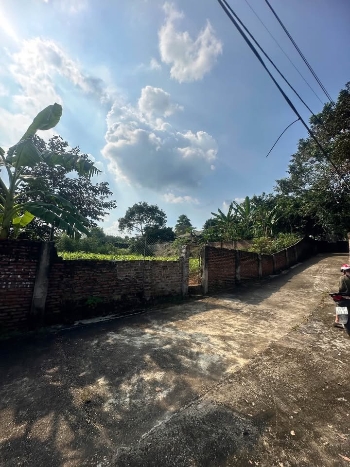 Bán Gấp Đất Nền 800m² Xã Phù Ninh, Phú Thọ - Sổ Đỏ Chính Chủ