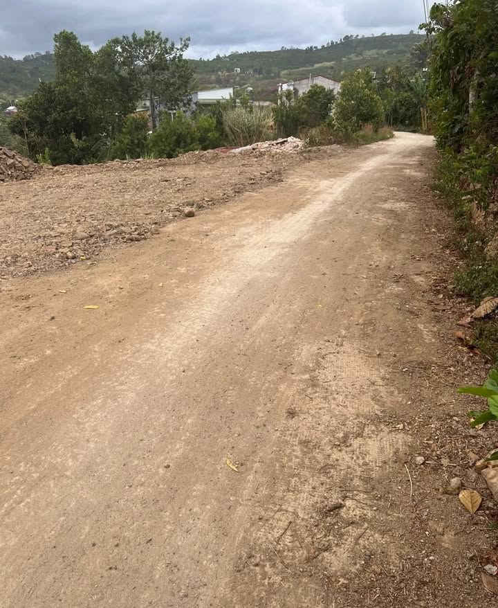 Đất thổ cư Lâm Hà 235m² - Giá F0 chỉ 400 triệu, Sẵn sổ hồng