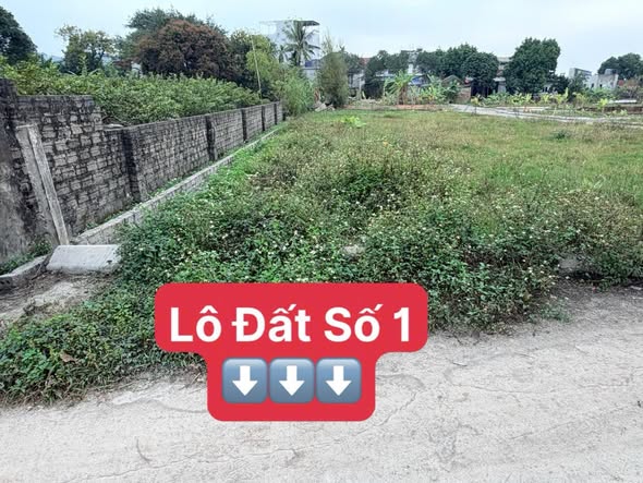 Đất nền Hợp Tiến, Mỹ Đức 80m² - Sổ đỏ sẵn sàng, giá từ 1 tỷ