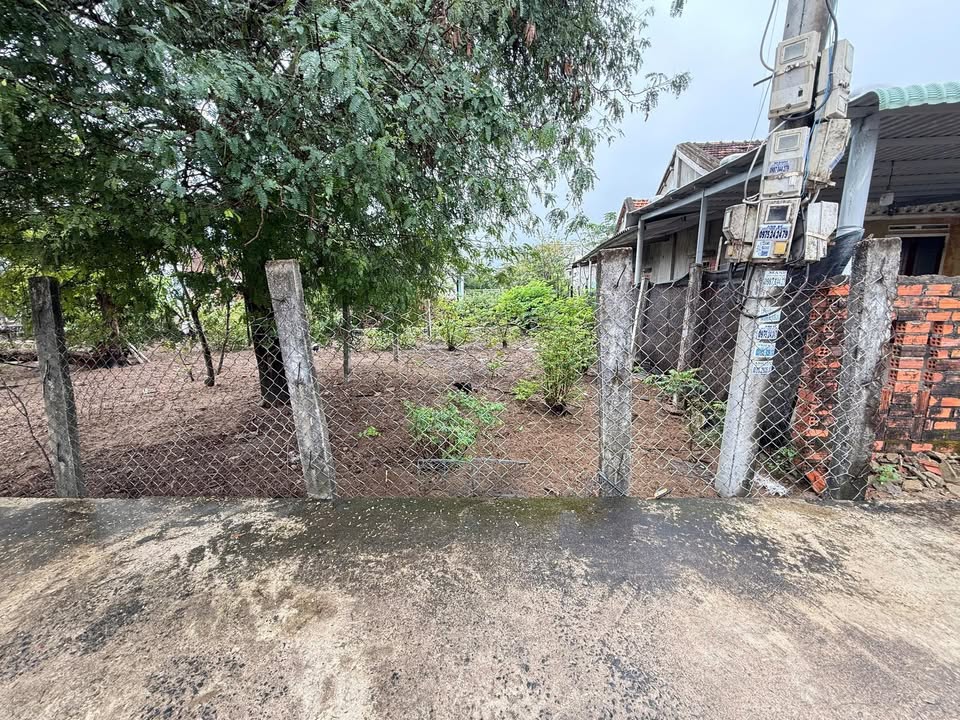 Đất nền 60m² Phường Hòa Hiệp Bắc - Sổ đỏ sẵn sàng, hướng Đông mát mẻ