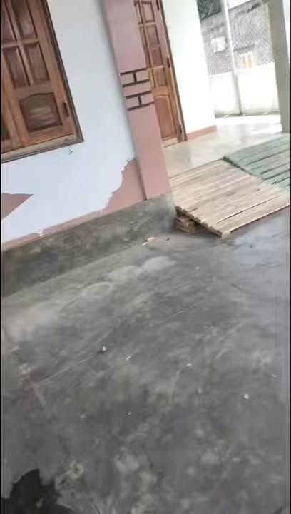 Nhà mặt tiền Tây Hòa 258m² - Vị trí vàng, kinh doanh đỉnh!