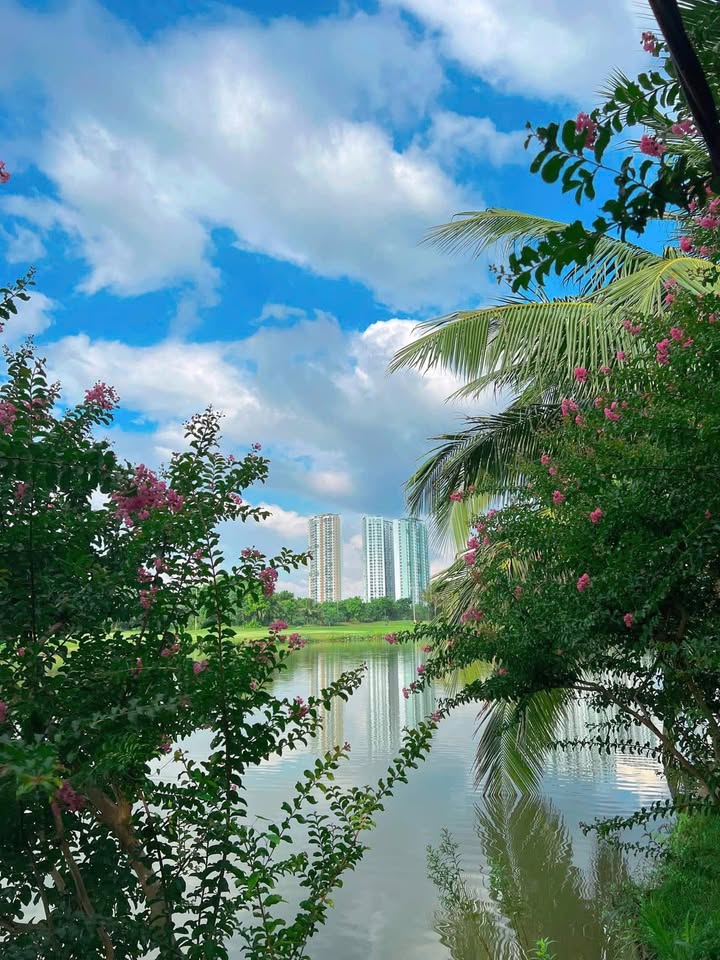 Căn hộ Westbay 55m² giá 3.3 tỷ - Tầng trung, full nội thất đẹp