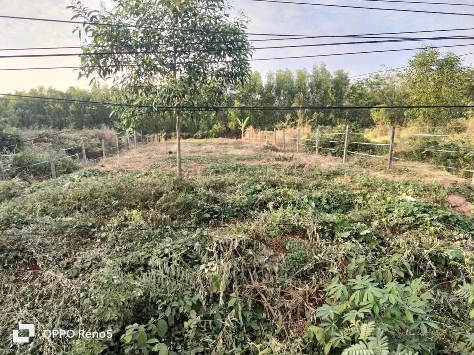 Đất Xã Thanh Lương, Bình Long 550m² - Giá 999 Triệu