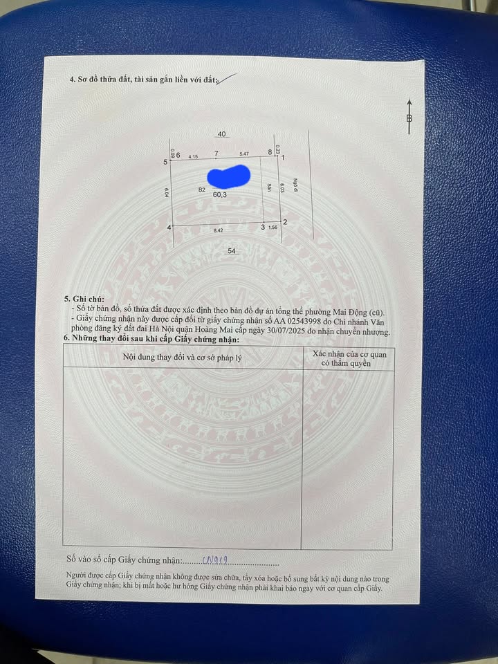 Đất nền Tam Trinh Hoàng Mai 61m² - Sổ đỏ chính chủ, mặt tiền 6m!