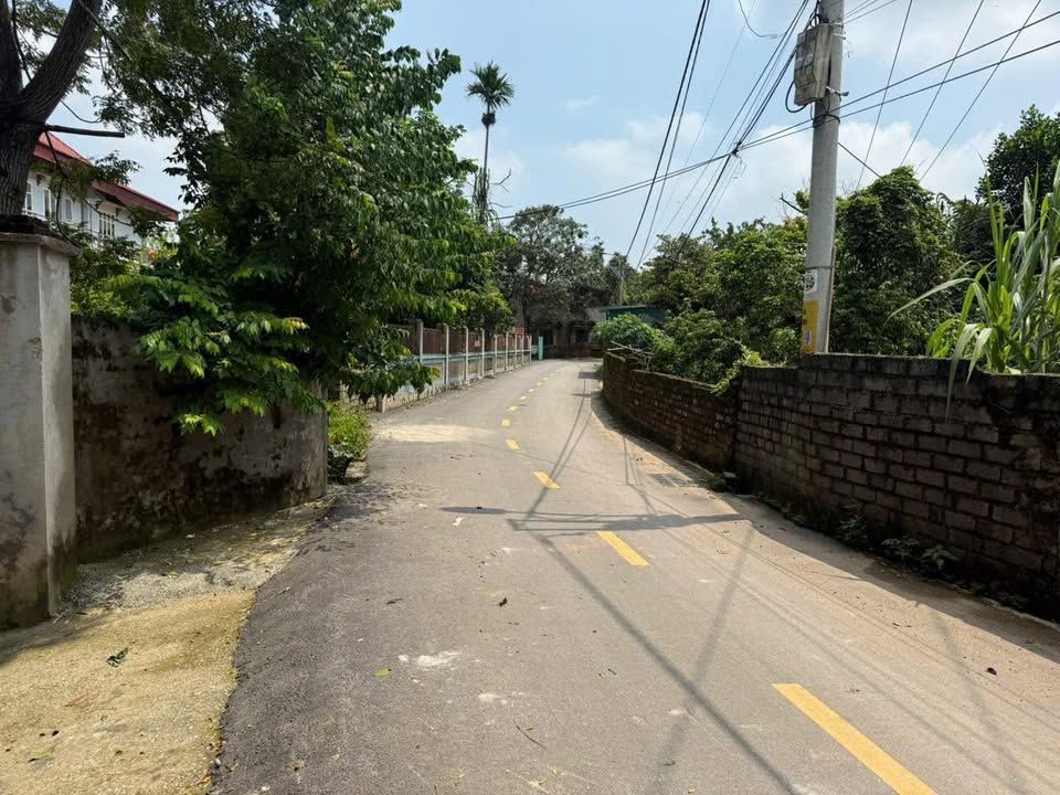 Đất nền Phường Tùng Thiện, Sơn Tây 285m² - Sổ đỏ chính chủ!