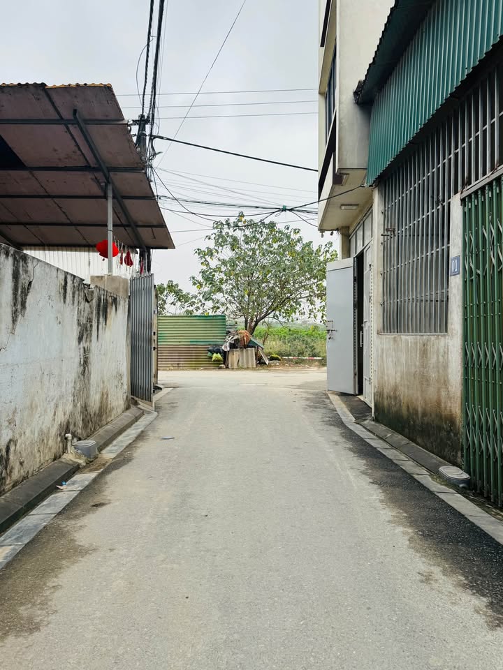 Đất nền Hải Bối Đông Anh 65m² - Đường to ô tô, mặt tiền rộng