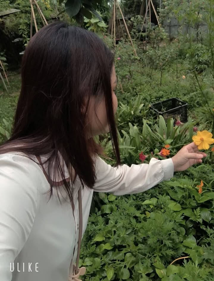 Đất nền Uy Nỗ Đông Anh 100m² giá 5 tỷ - Sổ đỏ chính chủ nở hậu!