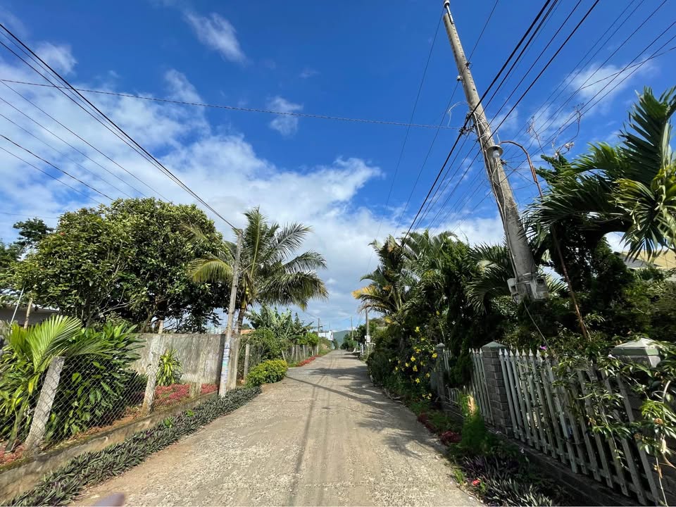 Đất Nền Đức Trọng 400m² Thổ Cư - Sổ Sẵn Sàng, Gần Chợ Trường Học