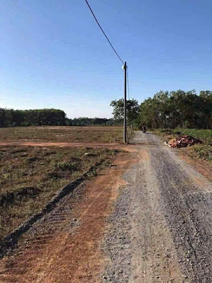 Bán gấp đất nền 1000m² Trảng Bom, Đồng Nai - Giá 1.9 tỷ