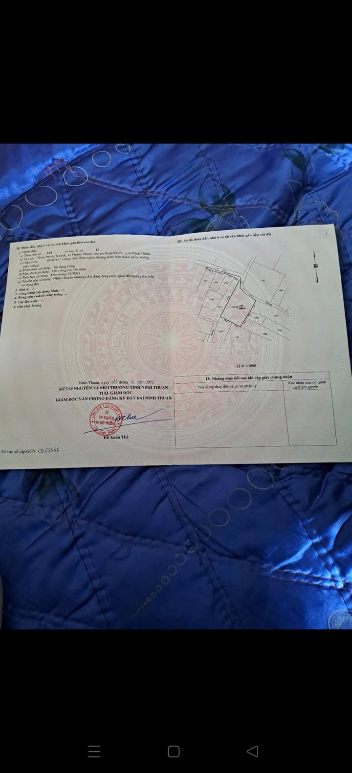 Bán đất cây lâu năm Ninh Hòa 1100m² - Sổ đỏ chính chủ, gần QL1A