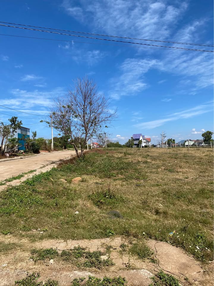 Đất Nền Phú Hội Đức Trọng 299m² - Sổ Riêng, Giá 3.5 Tỷ - Đầu Tư Sinh Lời