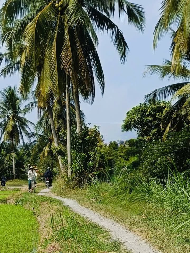 Đất nền Trung Thành Vĩnh Long 5428m² - Tiềm năng tăng giá vượt trội!