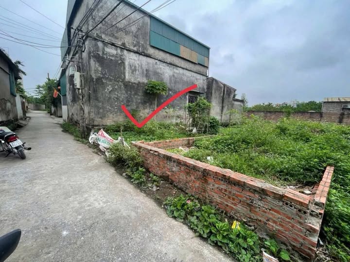 Đất nền 64m² Đại Yên, Chương Mỹ - Đường ô tô, 2 mặt ngõ thoáng, giá F0 chỉ 2.x tỷ