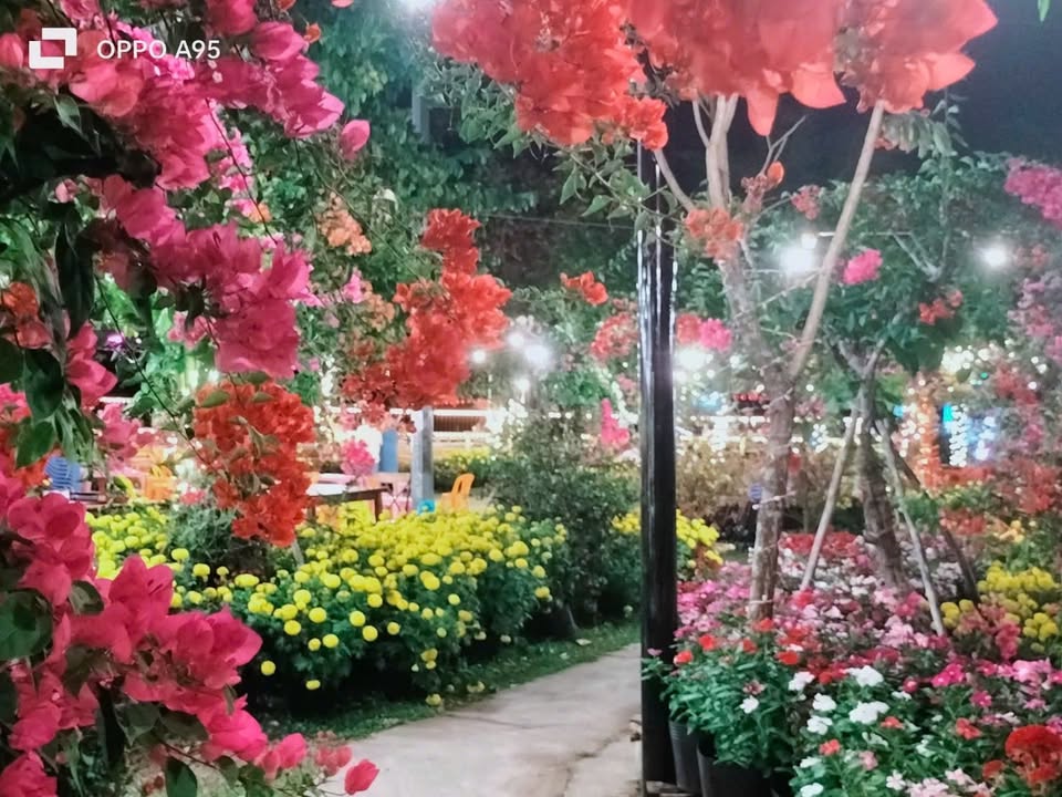 Đất nghỉ dưỡng Cần Thơ Chí Sinh 1339m² 6,695 tỷ - Giá F0