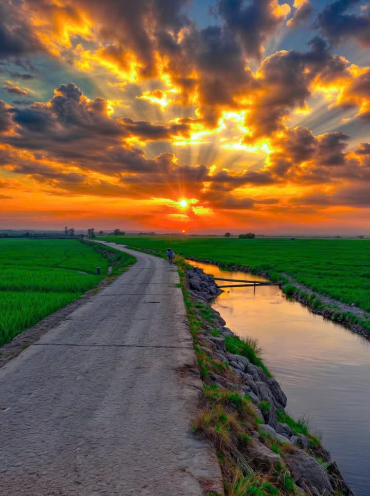 Bán Đất Nền 800m² Xã Trường Long Tây, Hậu Giang - Giá 380 Triệu