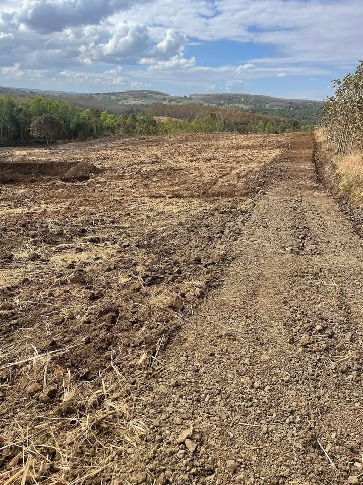 Bán gấp 1.5ha đất farm Thôn 8 Ekhanh, Krông Năng - Sẵn Sàng Làm Vườn