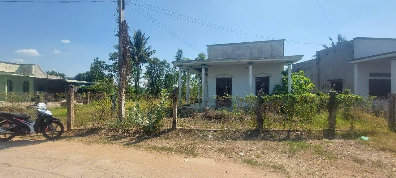 Đất nền Hàm Thuận Bắc 550m² giá 1.2 tỷ - Sổ đỏ chính chủ!