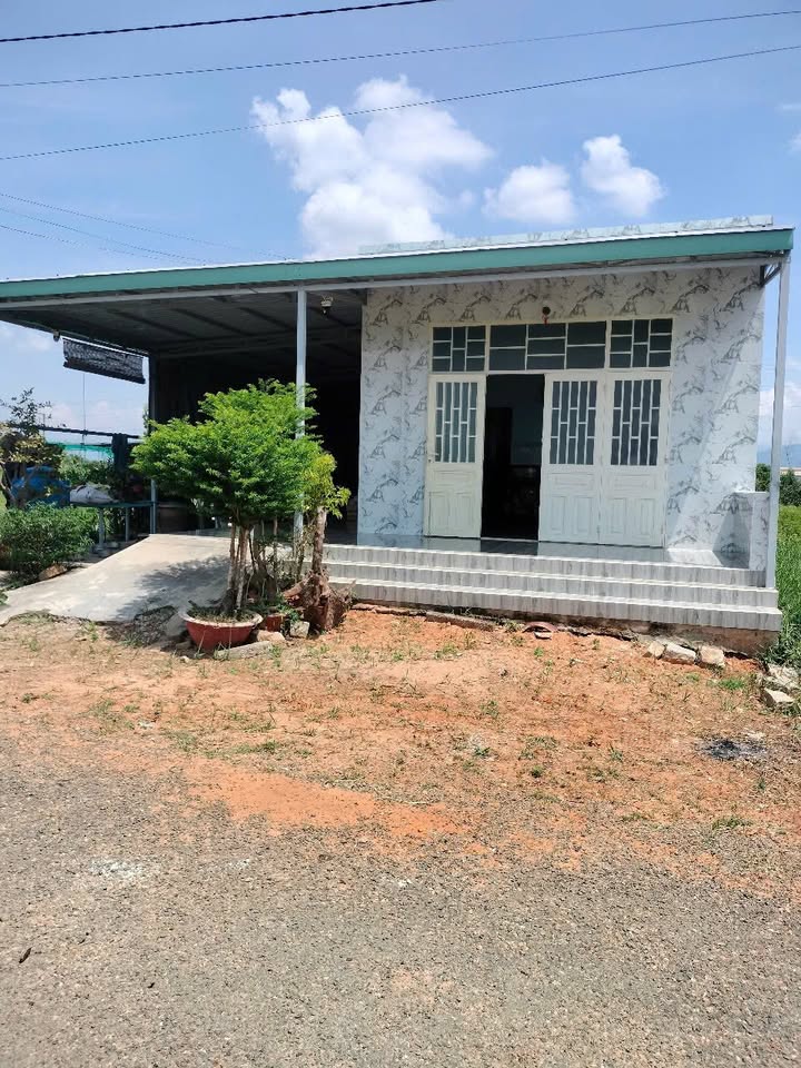 Nhà Mặt Tiền Đường Nhựa Hàm Thuận Nam - 400m² Full Thổ Cư, Giá 2.4 Tỷ