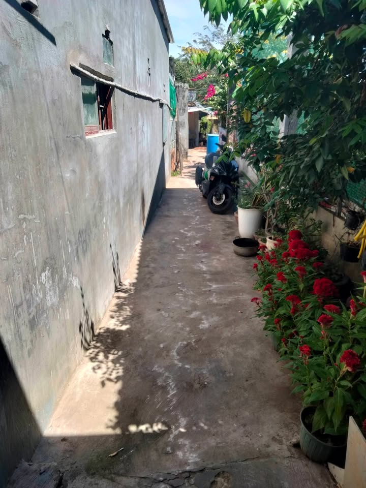 Nhà Riêng 112m² Tiến Thành Phan Thiết - Sổ Hồng Sẵn, Giá 950 Triệu!