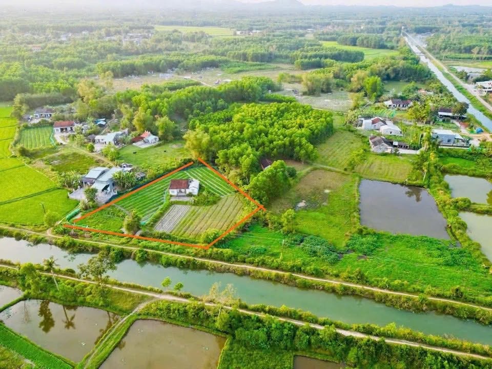 Đất nền Điện Bàn 1800m² - Sổ đỏ chính chủ, tiềm năng tăng giá!