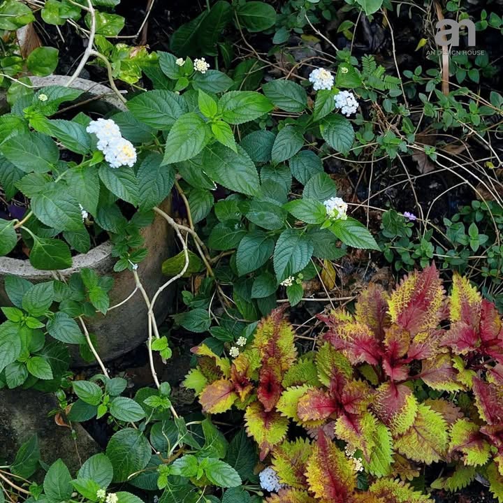 Đất nền KDC 270 Tam Phú 140m² - Sổ hồng sẵn, tiềm năng tăng giá!