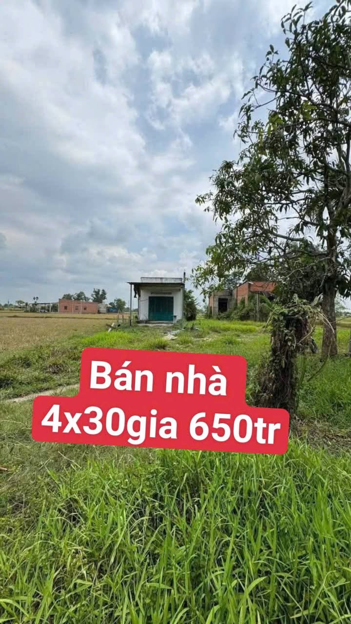 Nhà Chính Chủ Xã Tân Phú, Đức Hòa - 120m² Sổ Hồng Riêng, Giá 650 Triệu