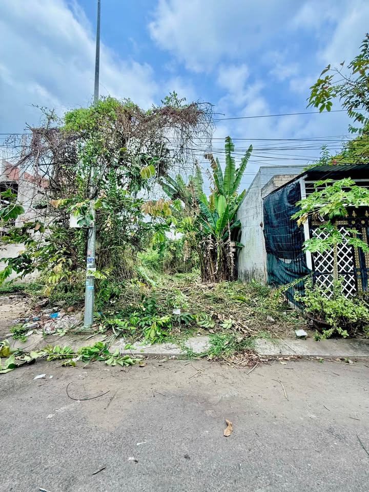 Đất nền KDC Tân Phú 100m² - Sổ hồng sẵn, tiềm năng tăng giá!