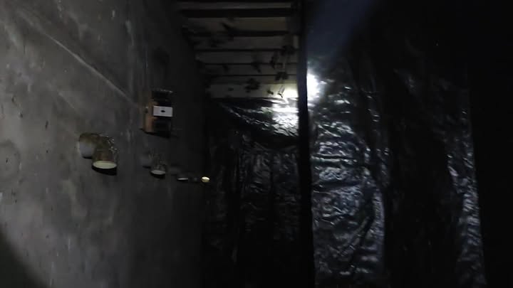 Nhà Yến Mặt Tiền Đường Nhựa Chợ Gạo, Tiền Giang - 480m² Sẵn Sàng Đầu Tư