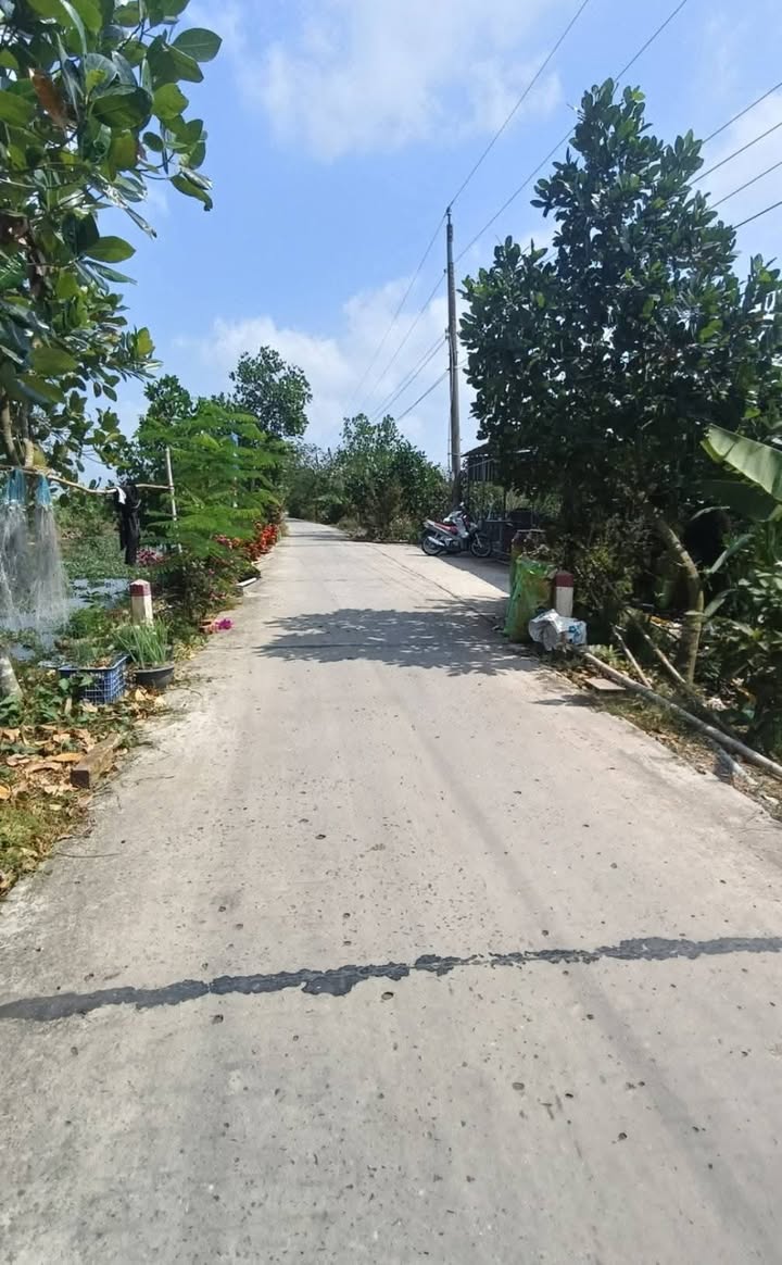 Đất Vườn Tiền Giang 320m² - Mặt Tiền Đường Xe Hơi, Gần Chợ, Giá Tốt 800 Triệu