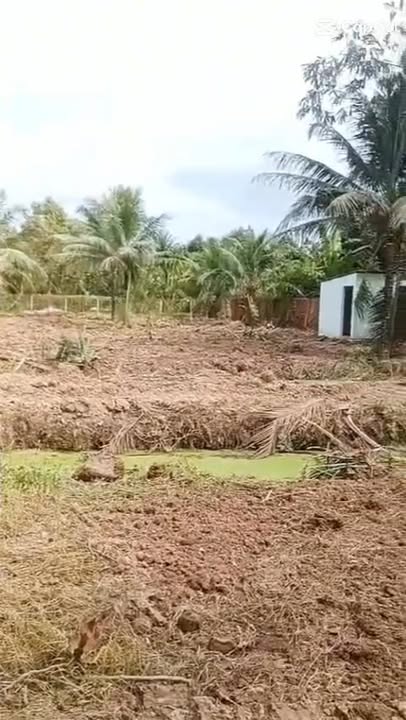 Đất Mặt Tiền 3600m² Đường 57B Châu Thành Bến Tre - Giá 12.49 Tỷ