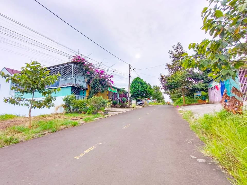 Đất Vườn 238m² TĐC Đăk Nia, Đà Lạt - Sổ Hồng Sẵn Sàng