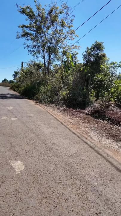 Mặt Tiền Ngô Tuấn Quy Nhơn 1500m² - Sổ Đỏ Thổ Cư, Giá Tốt