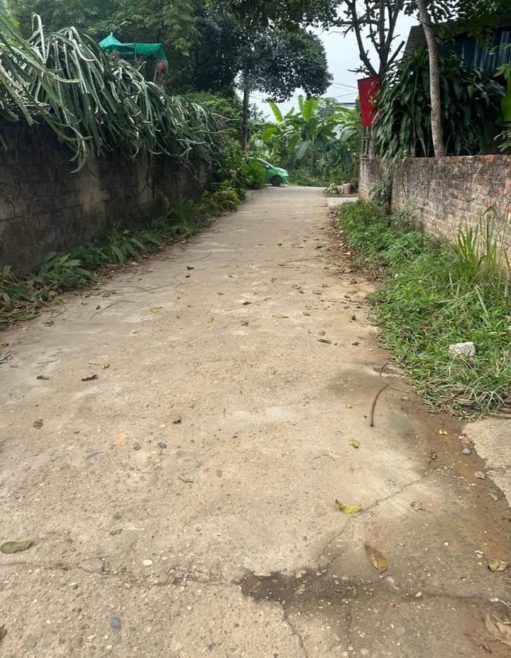 Đất nền An Khang TP Tuyên Quang 110m² giá 570 triệu - Đường to ô tô