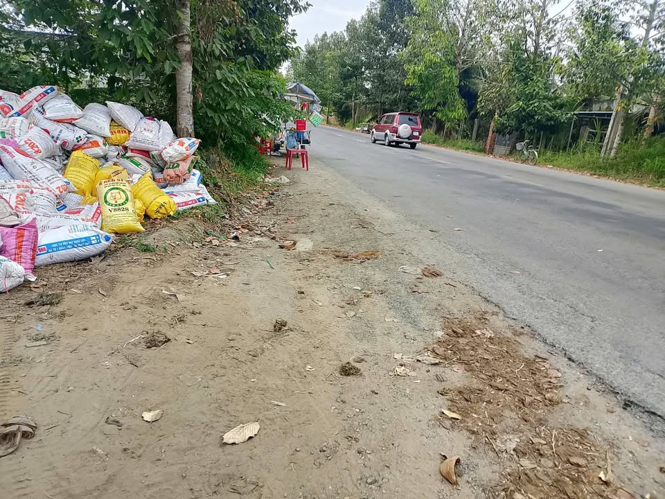 Đất Nền Giồng Trôm, Bến Tre - 145.6m² Gần Cầu Cây Đa, Sổ Đỏ Sẵn Sàng