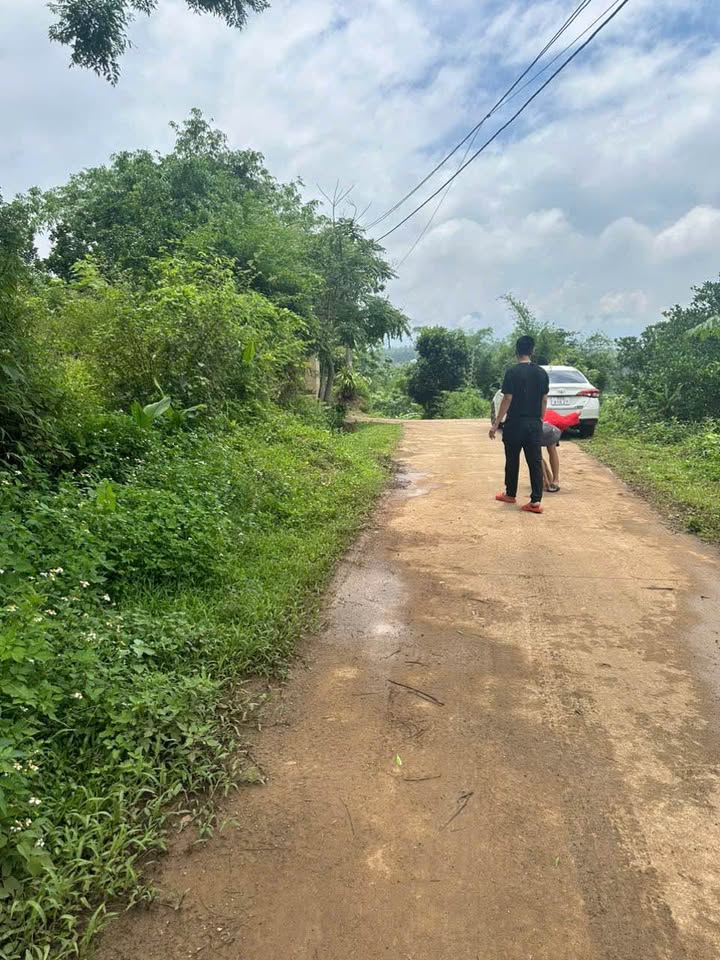 Đất nền Mỹ Hòa, Tân Lạc 600m² - Đường to ô tô, giá đầu tư tốt!