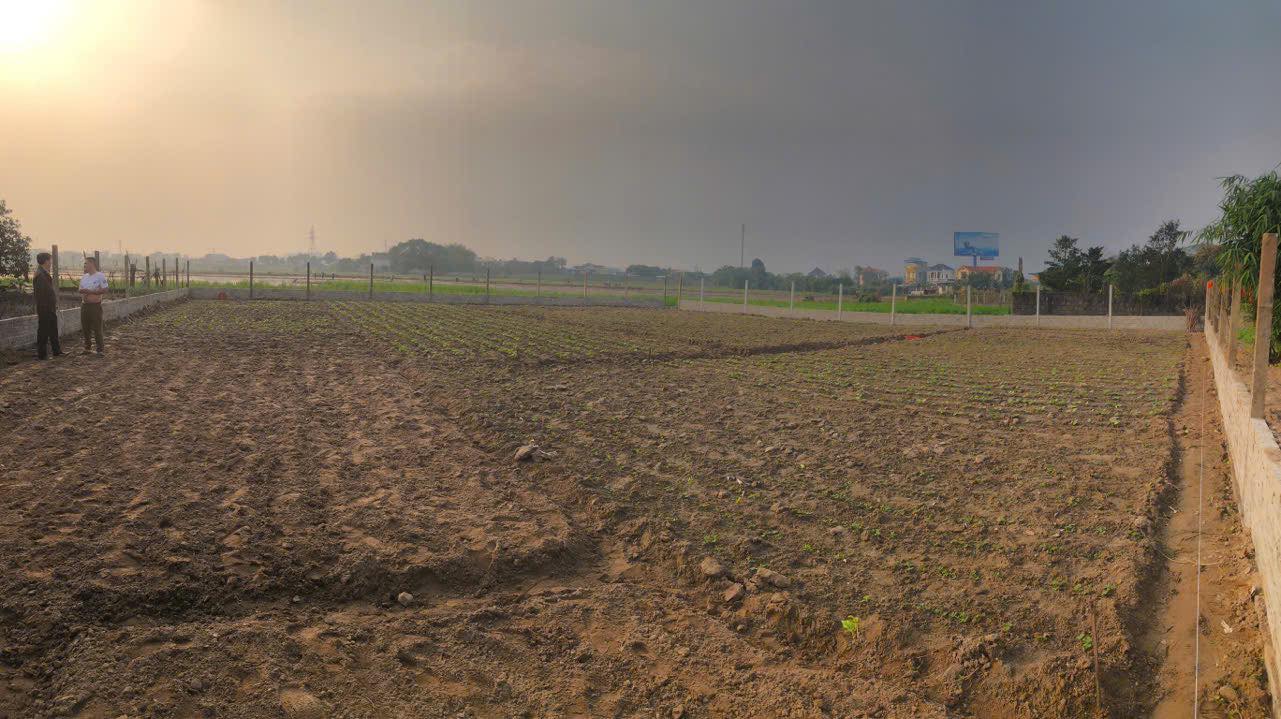 Bán đất Mỹ Tân, Nam Định 1000m² full thổ cư, đường ô tô - Giá 5.7 tỷ