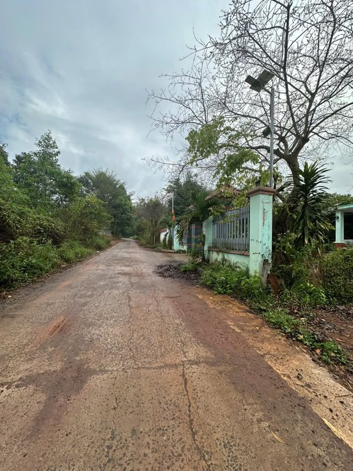 Đất Nền Xuân Lộc Đồng Nai 380m² - Sổ Đỏ Sẵn Sàng, Gần Chợ, Trường Học