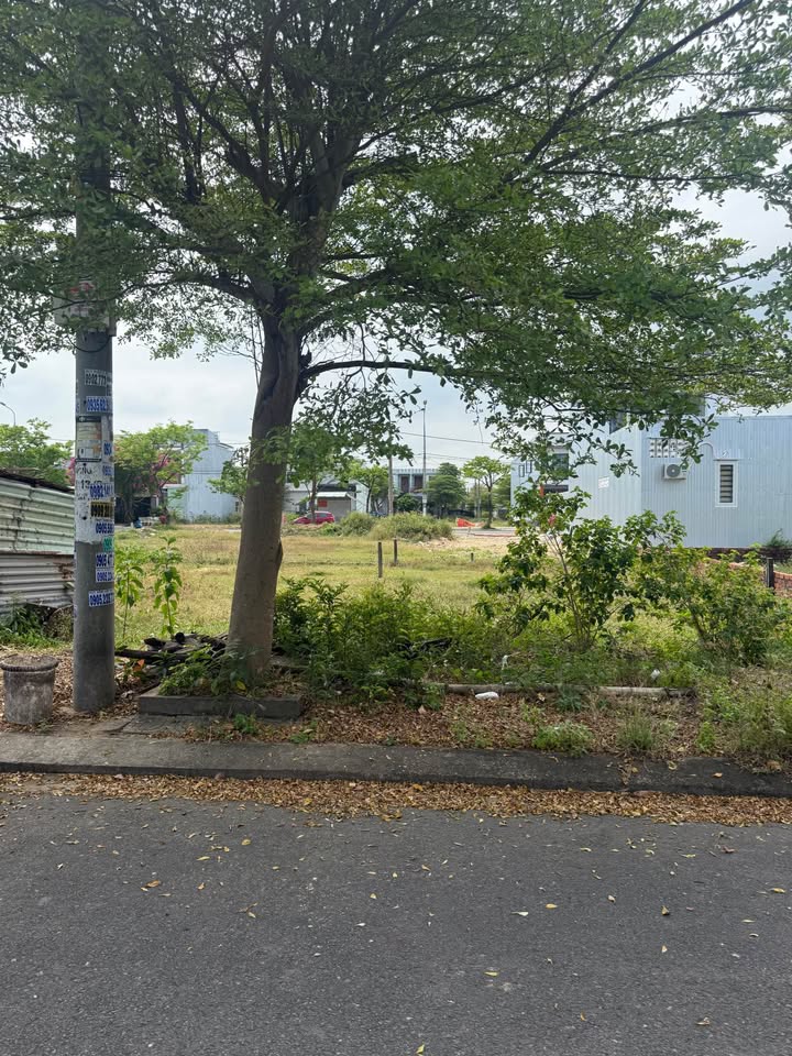 Đất nền Ngân Câu Điện Ngọc 106m² giá 3 tỷ - Sổ đỏ chính chủ