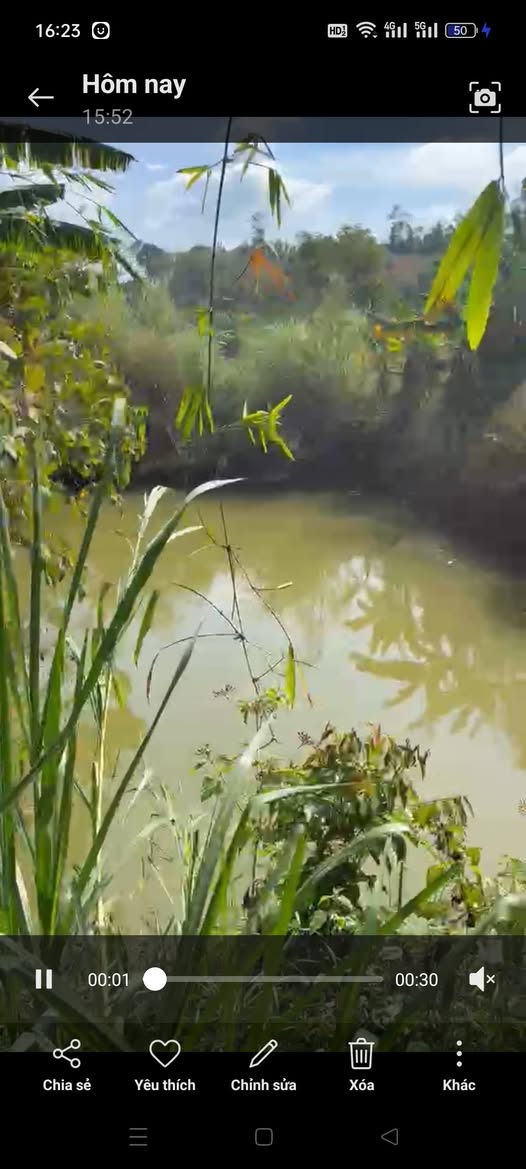 Đất nền Quảng Tâm Tuy Đức 2160m² - Sổ đỏ chính chủ, ô tô tận nơi!