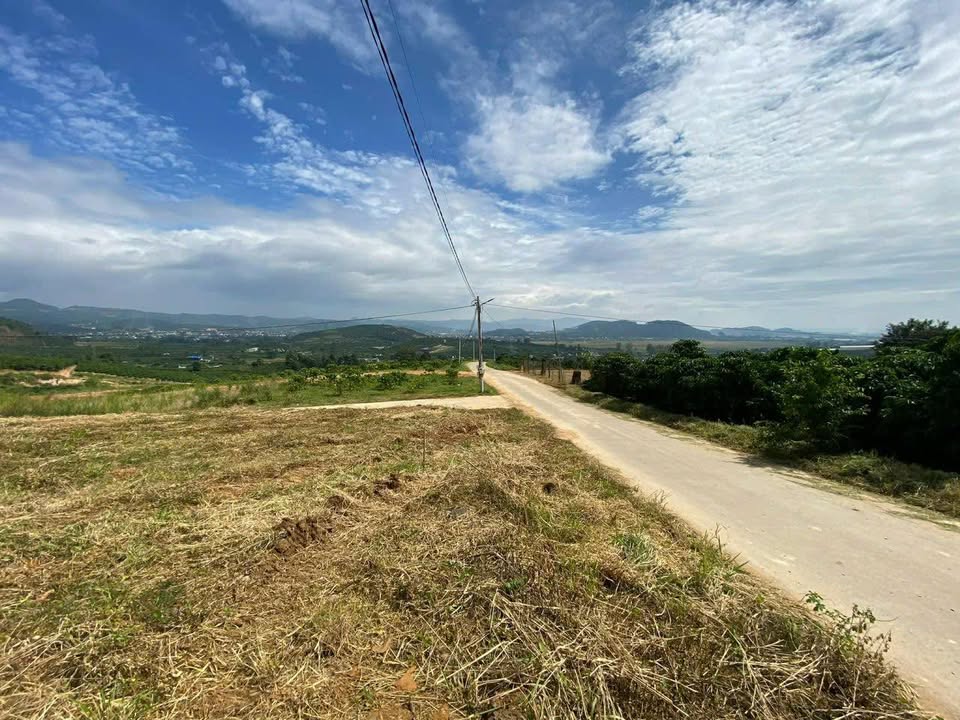 Đất nền Tân Đức Đà Lạt 296m² - Sổ đỏ chính chủ, giá 580 triệu