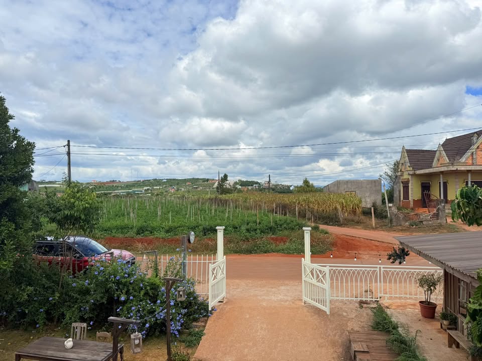 Đất nền 315m² mặt tiền Huỳnh Thúc Kháng, Lâm Hà - Sổ sẵn, giá 730 triệu