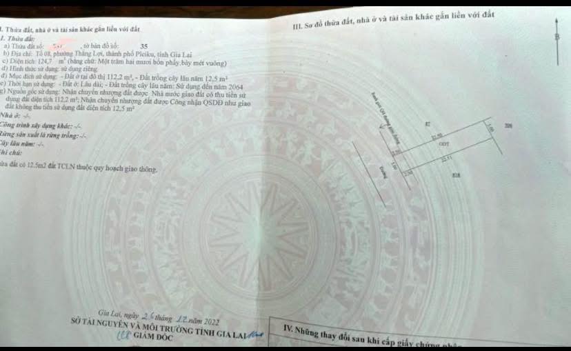 Đất Vàng Mạc Thị Bưởi Nối Dài, Pleiku - 110m² Sổ Đỏ Sẵn Sàng