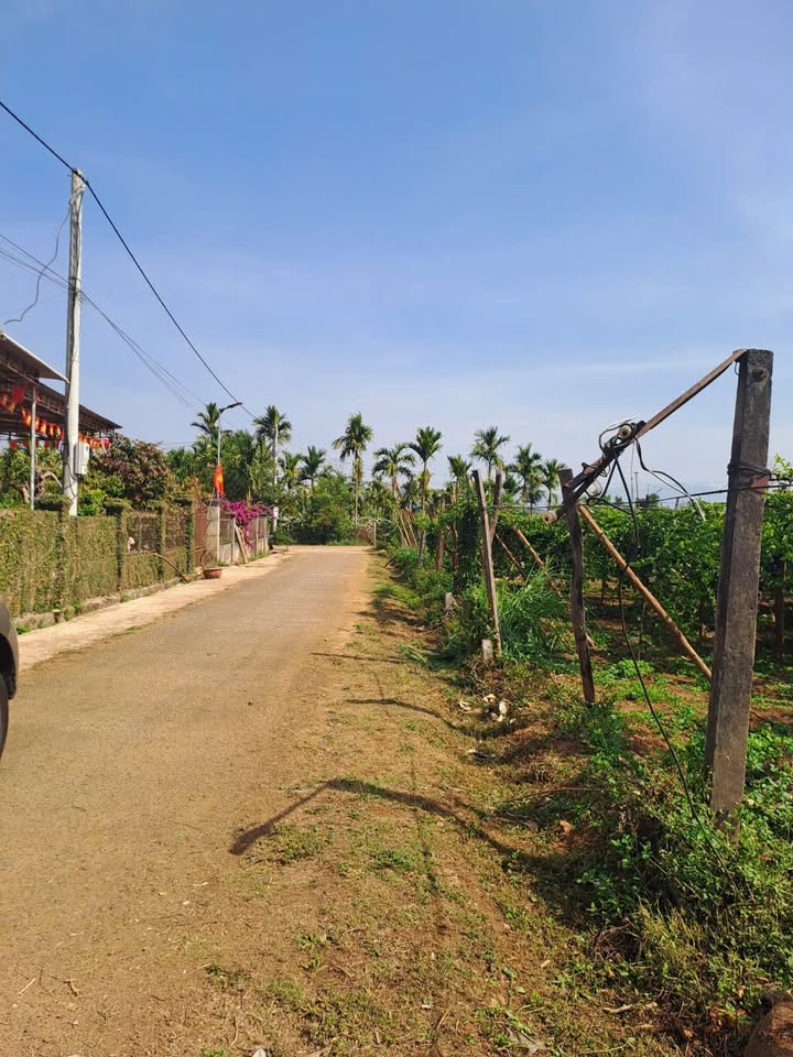 Đất nền Ia Grai, Gia Lai 150m² Chỉ 3xx Triệu - Tiềm Năng Tăng Giá!