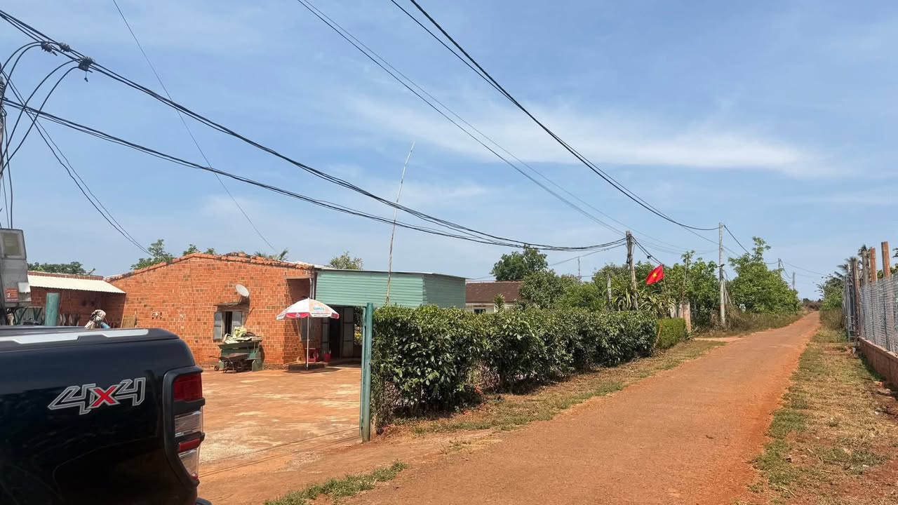 Bán đất farm 9.2 sào Ia Blà, Gia Lai - Trồng cà phê kinh doanh, sầu riêng thu hoạch