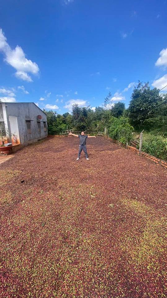 Bán Gấp 4.5ha Đất Vườn Trồng Cà Phê, Tiêu, Sầu Riêng, Gỗ Gáo Tại Chư Sê, Gia Lai