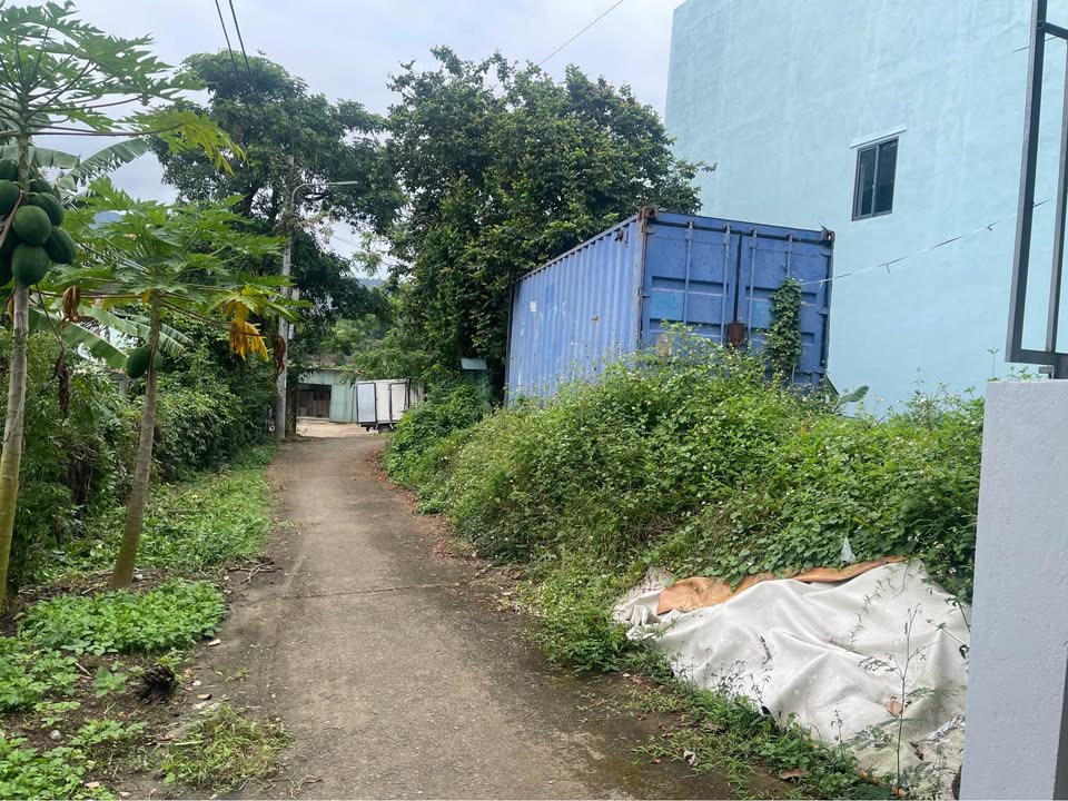 Đất nền kiệt Trường Sơn, Cẩm Lệ 100m² - Ô tô tận nơi, Chính chủ 2.05 tỷ