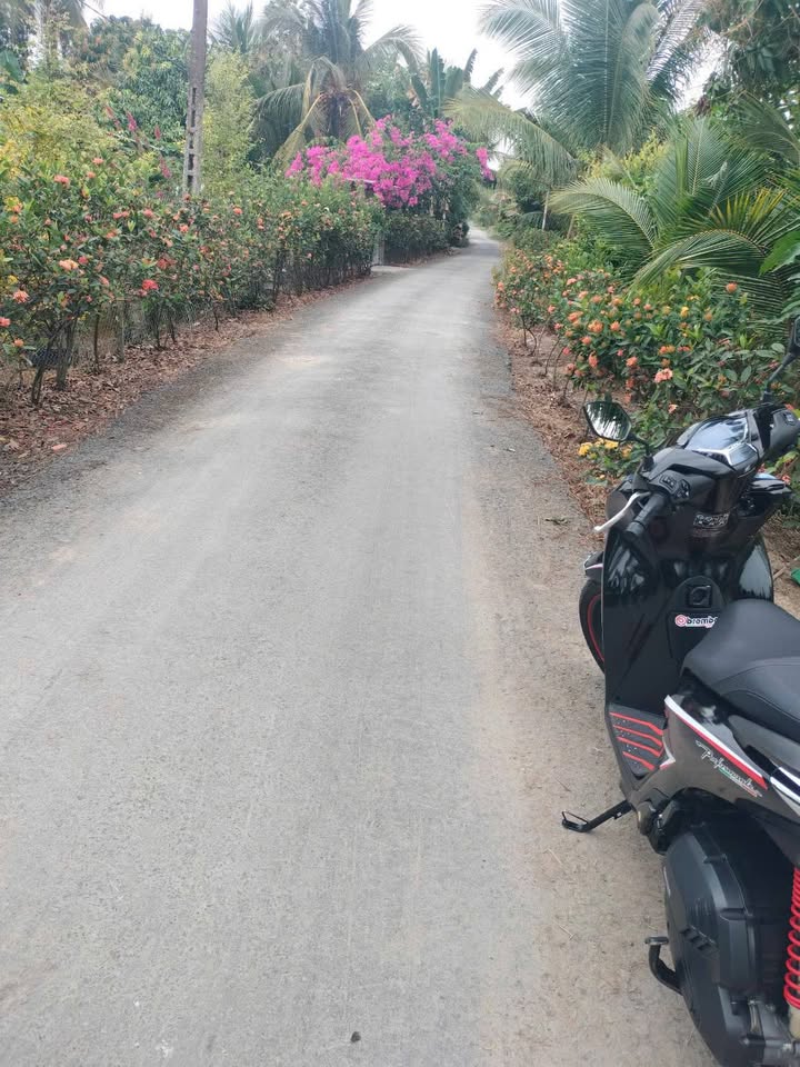 Bán 30.000m² đất vườn Tháp Mười giá 9.3 tỷ - Sổ đỏ chính chủ