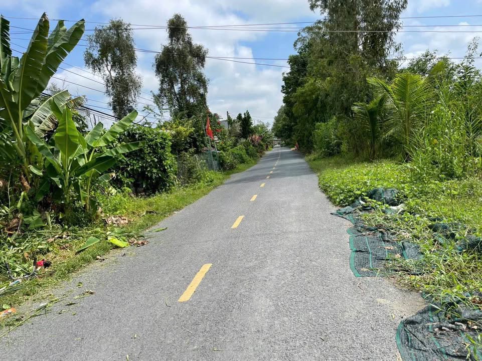 Bán Đất Mặt Tiền Đường 3, Lai Vung, Đồng Tháp - 208m² Giá 700 Triệu