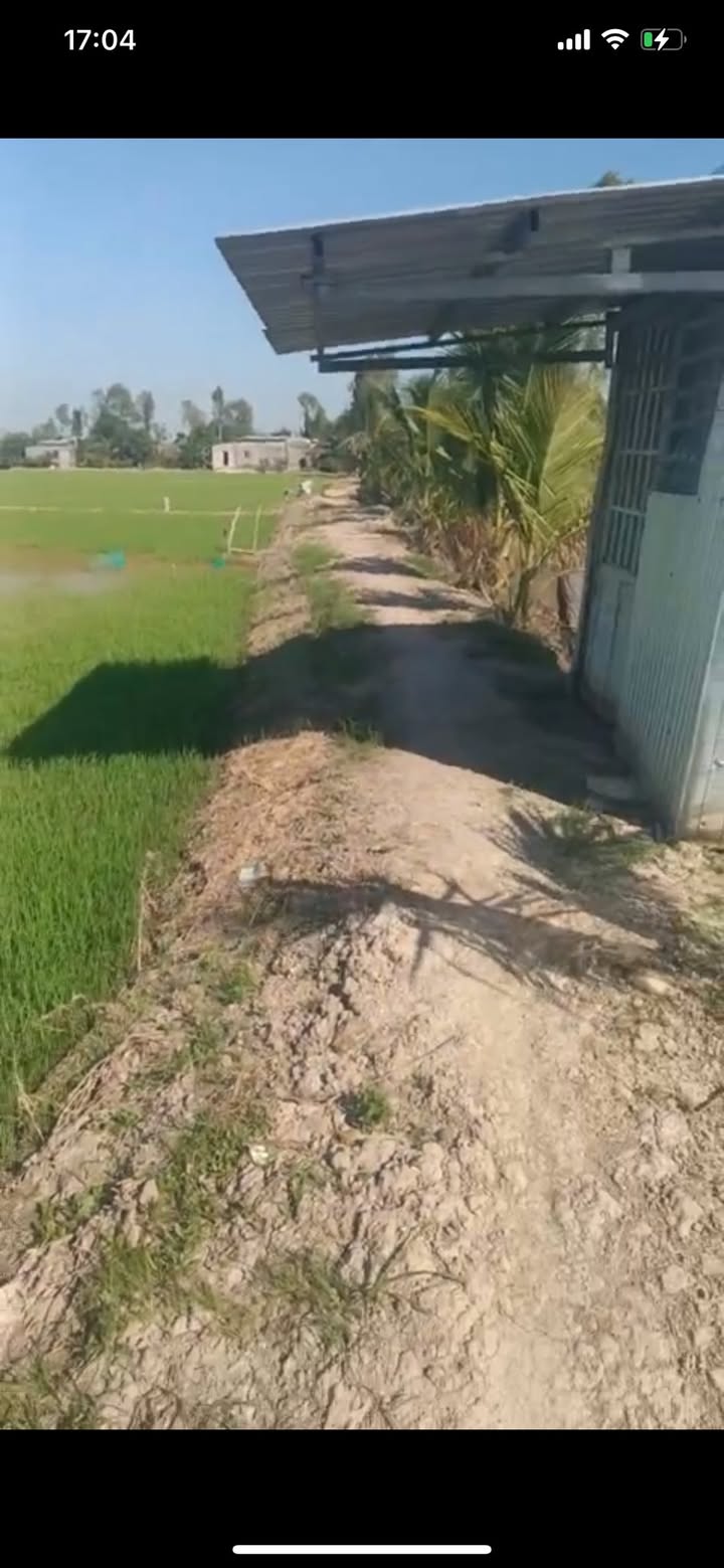 Đất Vườn Đồng Tháp 9000m² - Nghỉ Dưỡng Sinh Thái, Mặt Tiền Bờ Sáng