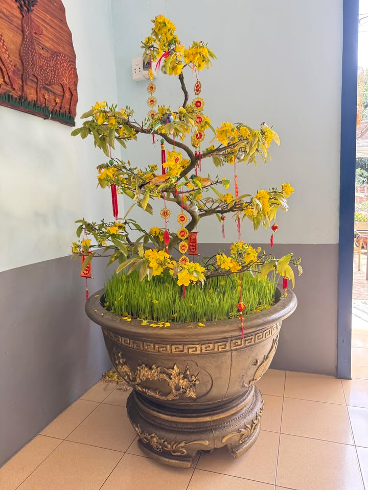 Đất Vàng Buôn Hồ - 192m² Thổ Cư, Mặt Tiền Hẻm Nam Cao, Giá 6.9 Tỷ